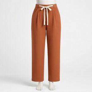 Aritzia Rust Ankle Pants with Cream Tie